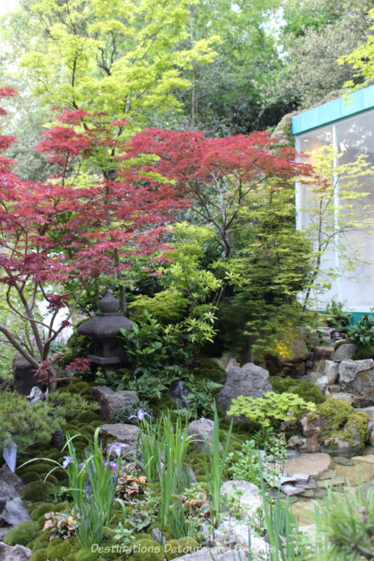 Japanese-style garden at the Chelsea 2019 Flower Shiow