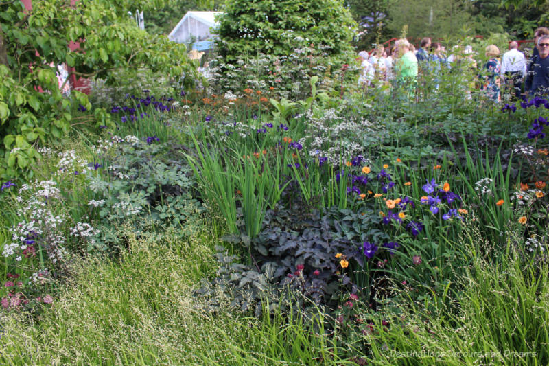 Flowing meadow plants of the 2019 Chelsea Flower Show RHS Bridgewater Garden