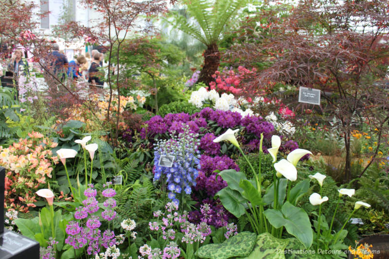 Mixture of colourful flowers inside the Grate Pavilion at the Chelsea Flower Flower Show