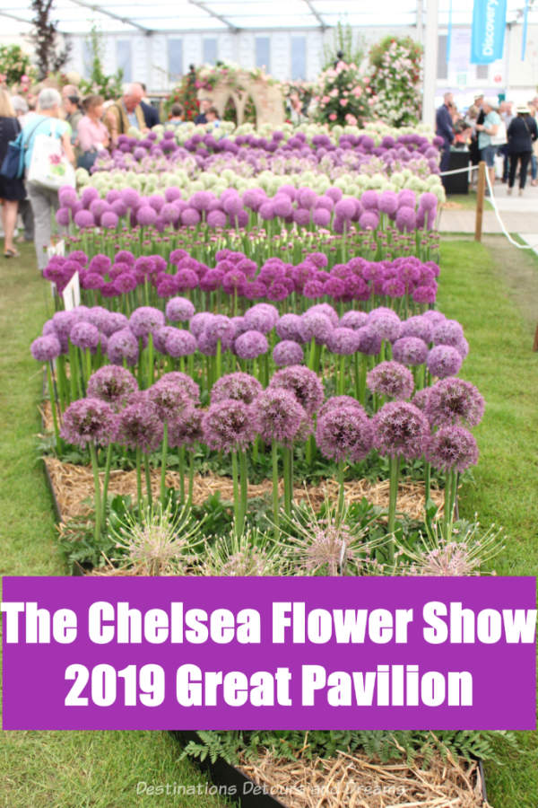 Photographs from the 2019 Chelsea Flower in London, England, highlight what to expect inside the Great Pavilion #ChelseaFlowerShow #London #England #garden