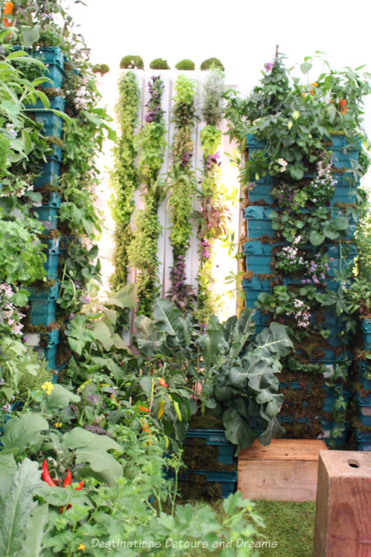 Vertical planting at the 2019 Chelsea Flower Show