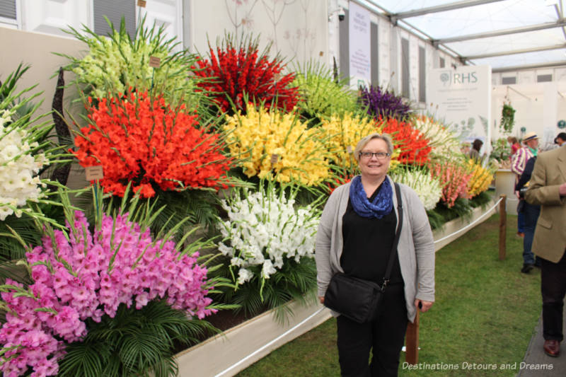 Gladiolas at the Chelsea Flower Show