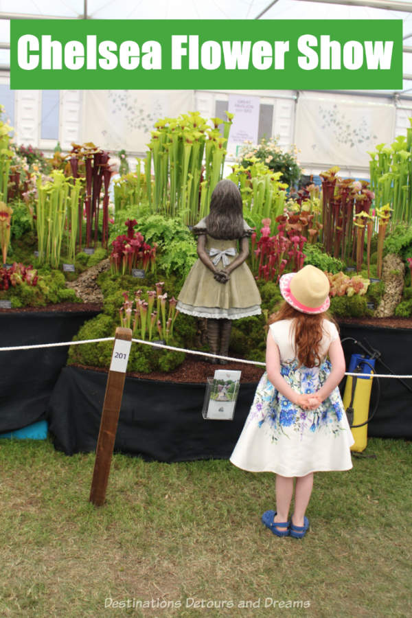 Photographs from the 2019 Chelsea Flower in London, England,  highlight what to expect inside the Great Pavilion #ChelseaFlowerShow #London #England #garden