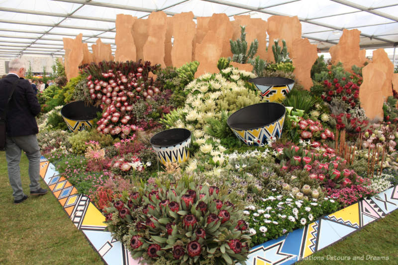 South African display at the 2019 Chelsea Flower Display