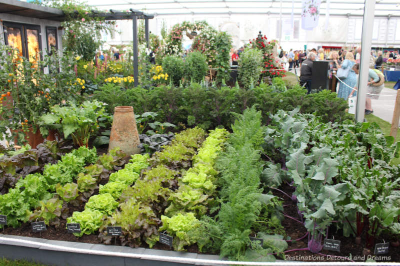 Edible plants at the Chelsea Flower Show