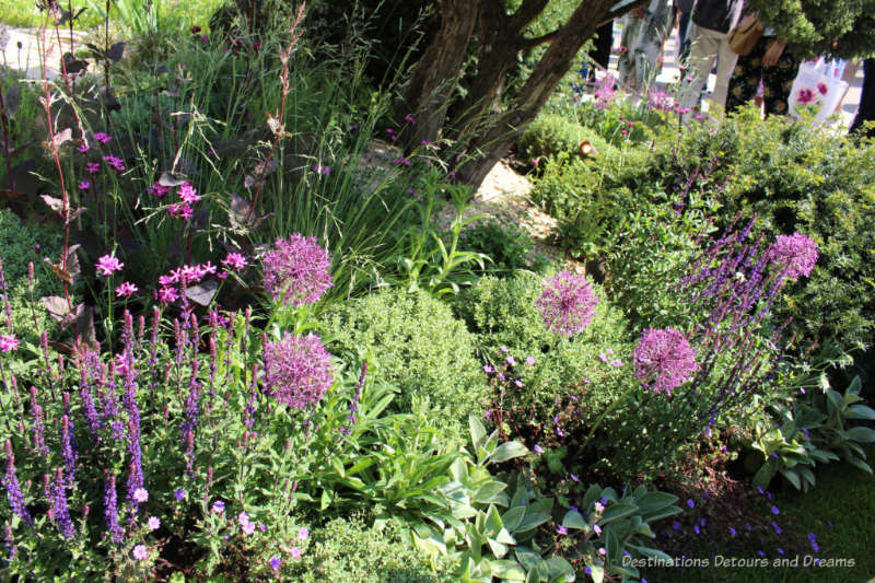 Purple and green flowers in the Warner's Distillery Garden