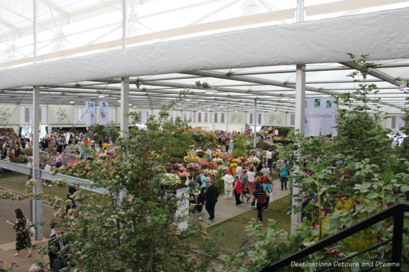 Looking out over the Great Pavilion from the second level of the Gardening Will Save The World Garden