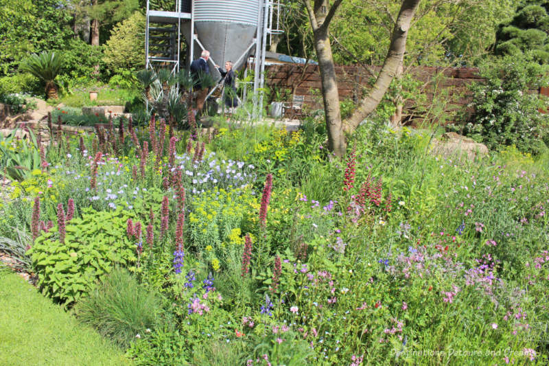 The Resilience Garden at the 2019 Chelsea Flower Show