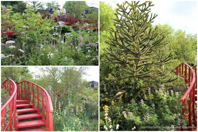 A collage of photos from the lush planting up a slope of the Trailfinders Latin American Show Garden at the 2019 Chelsea Flower Show