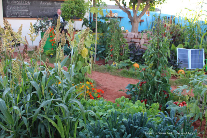 Edible crops in front of a rural classroom in the Giving Girls In Africa A Space To Grown Garden at the 2010 Chelsea Flower Show