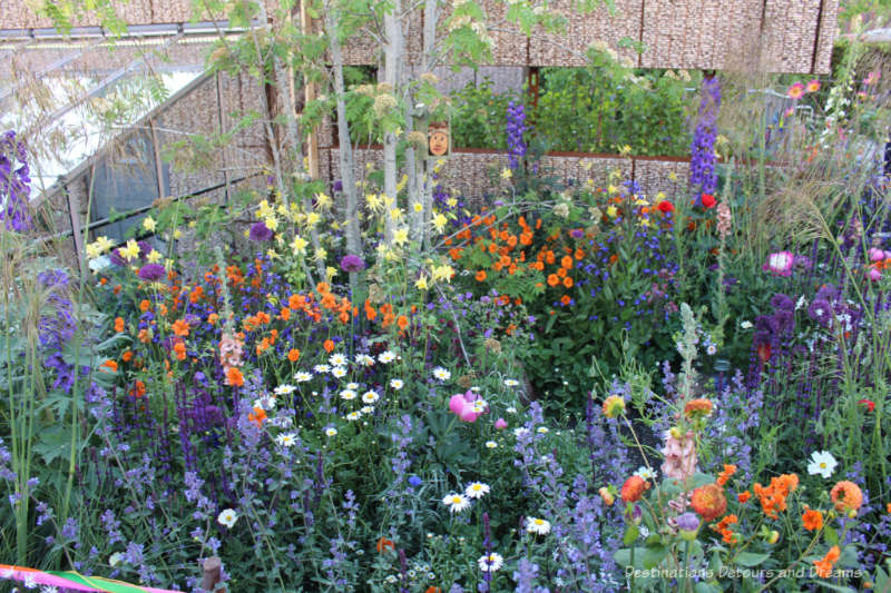 Brightly coloured flowers in the Montessori Centenary Children's Garden at  the 2019 Chelsea Flower Show