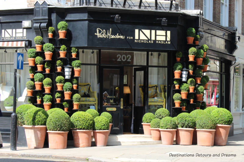 Green plants in terracotta plants around the entrance to a Chelsea shop