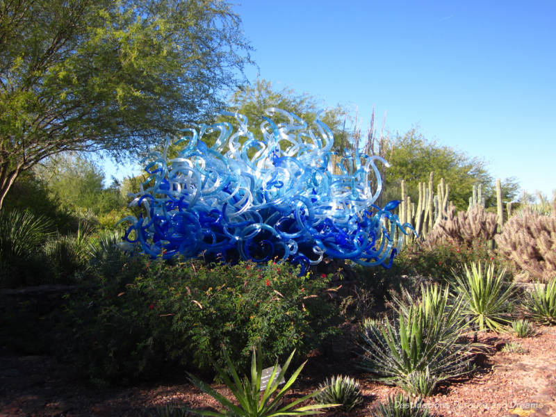 Chihuly Blue Flori Sun in Desert Botanical Garden 