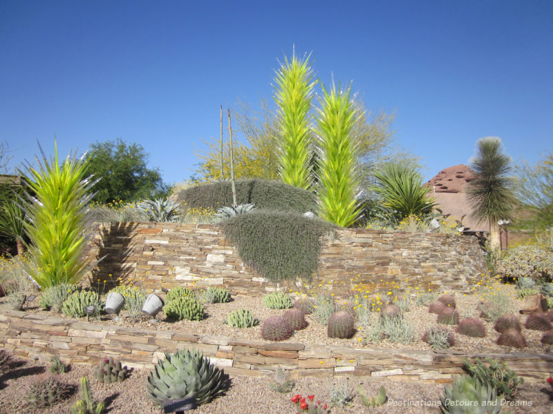 Chihuly "trees" at the entrance to the Phoenix Desert Botanical Garden