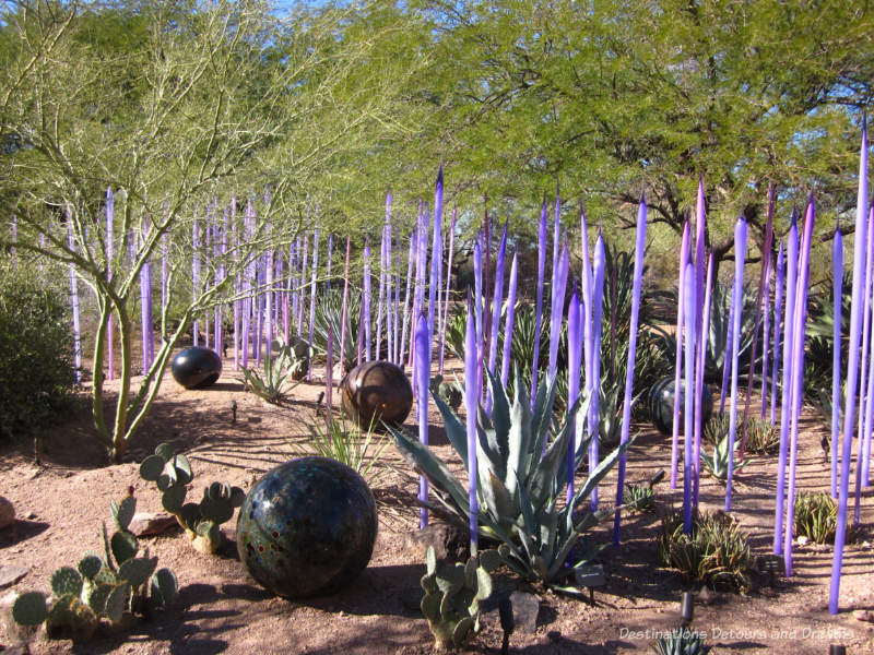 Chihuly Neodymium Reeds and Black Niijima Floats﻿