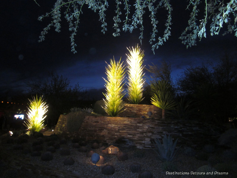 Chihuly tree sculptures in front of Phoenix Desert Botanical Garden illuminated at night