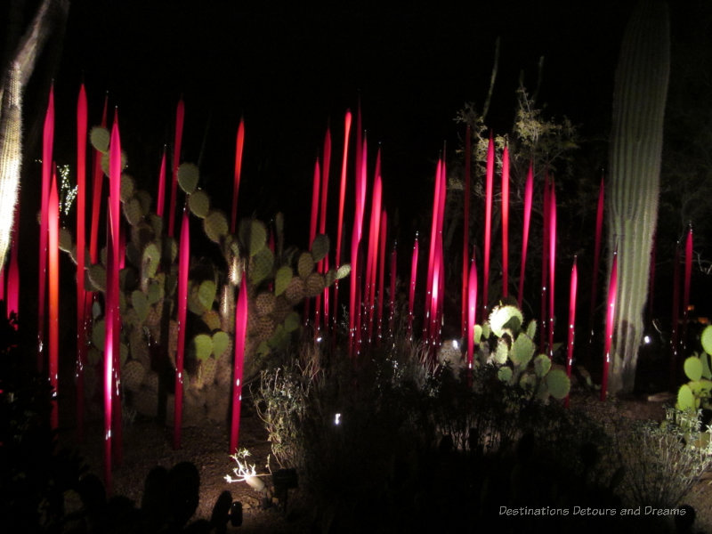 Chihuly reeds at night