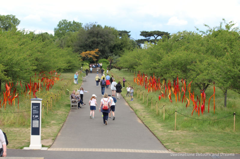 Chihuly red and copper glass reeds lining a walking at Kew Gardens