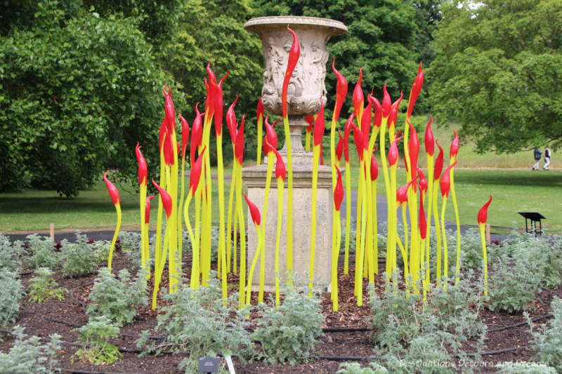 Chihuly Paintbrushes at Kew: yellow glass reeds with red tips 