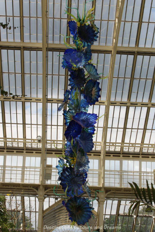 Close-up of the Chihuly blue glass hanging sculpture at Kew Gardens