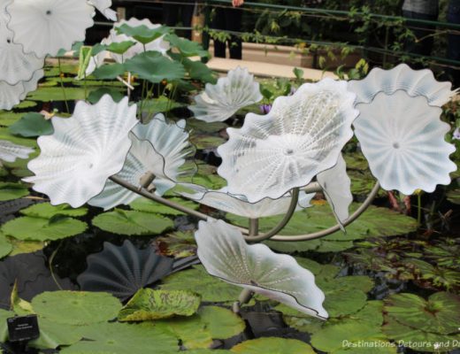 Close-up of the Chihuly blown-glass white flowers on the lily pond at Kew Garden