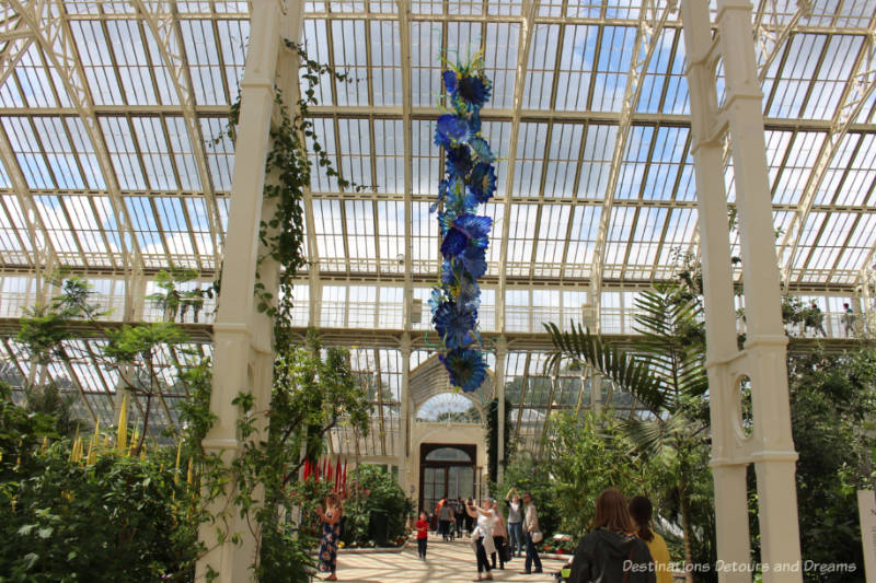 Chihuly glass sculpture in shades of blue hanging from ceiling in Temperate House at Kew Gardens