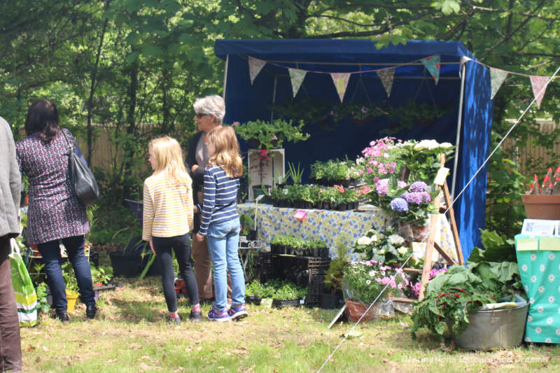 English Village Fête: Plant Stall Plant stall at an English village fête