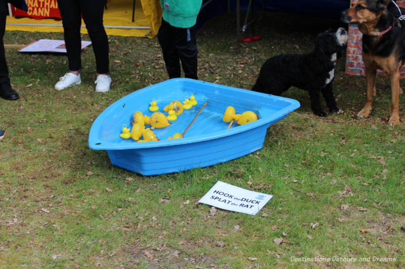 Hook the Duck game at an English village fête