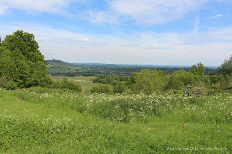 Field and view on Denbies Wine Estate