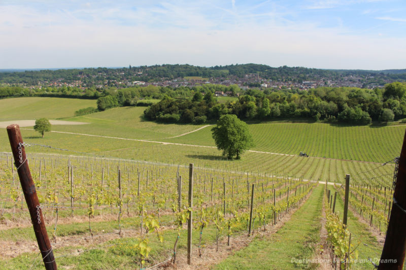 Valley and Dorking view from hill on Denbies Wine Estate