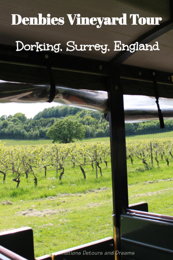 Denbies Wine Esate Vineyard Tour in Dorking, Surrey: A scenic vineyard tour at one of the United Kingdom’s largest wine producers. #England #Surrey #winery #Dorking #SurreyHills