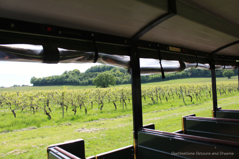 Denbies Vineyard Tour - view of vineyards on the hill from the train car