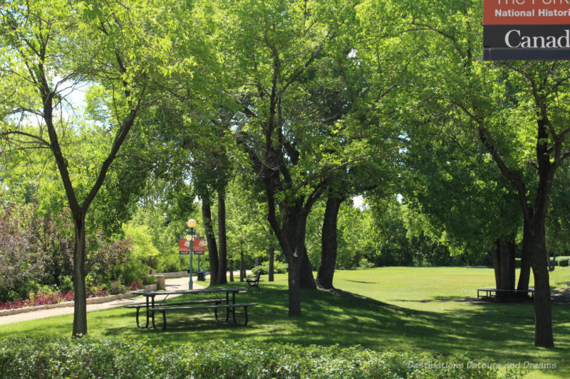 Treed grassy area with picnic tables at The Forks in Winnipeg, Manitoba