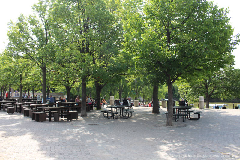 Picnic tables shaded by trees on the patio at The Forks in Winnipeg, Manitoba