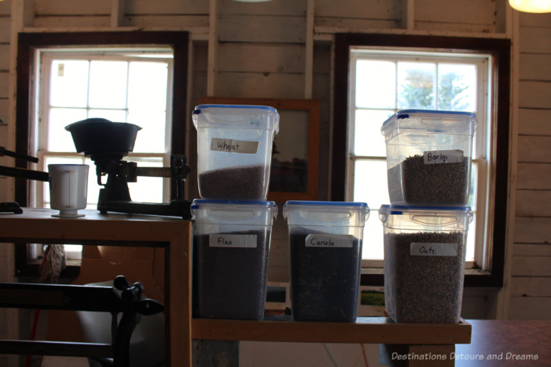 Jars of different grains beside a scale at the Inglis Grain Elevators National Historic Site