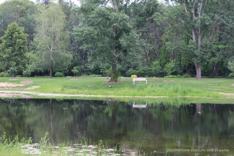 Pond, natural green space and trees at the Aga Khan Garden at the University of Alberta Botanic Garden