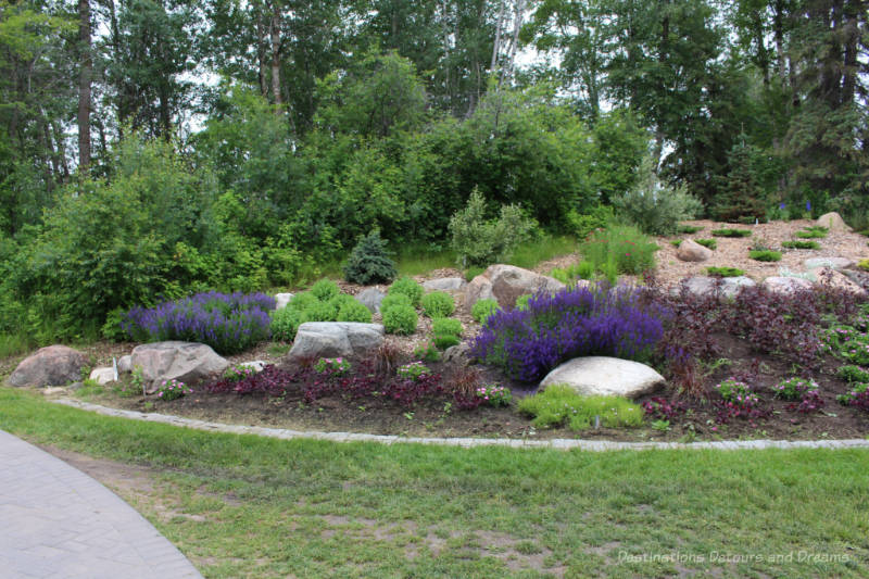 Bed of purple,green, and reddish alpine plants against a backdrop of prairie trees at the University of Alberta Botanic Garden