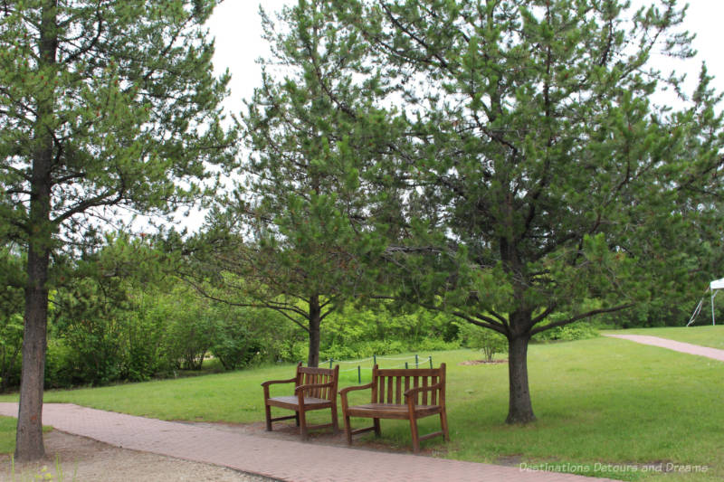 Benches under trees at the University of Alberta Botanic Garden