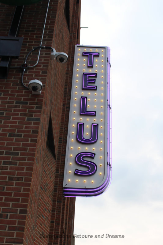 TELUS neon sign in Edmonton