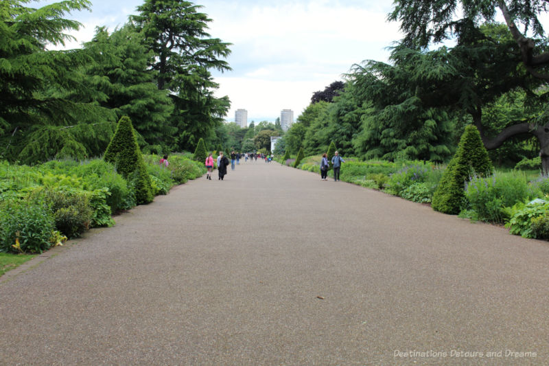 Flowers, shrubs and trees bordering the wide paved Broad Walk at Kew Gardens