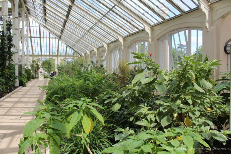 Walkway alongside greenway with glass walls and roof of the Temperate House at Kew