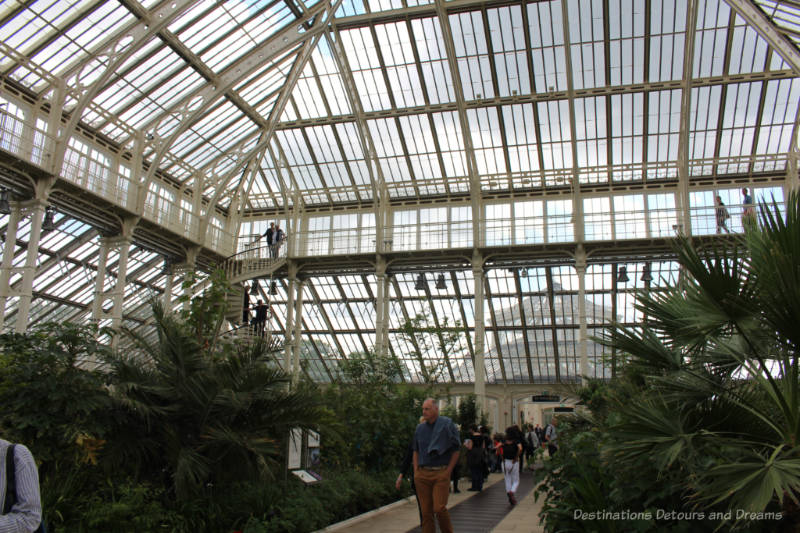 Glass walls and ceilings of the Temperate House and railing at second level