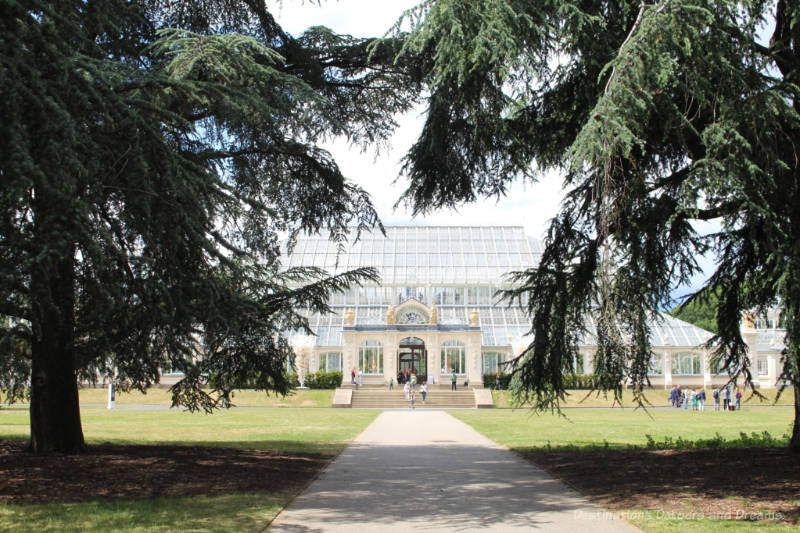 Glass conservatory of Kew Gardens Temperate House framed by evergreen branches