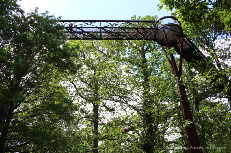 A railed walkway of weathered steel amid branches and leaves at treetop level in Kew Gardens