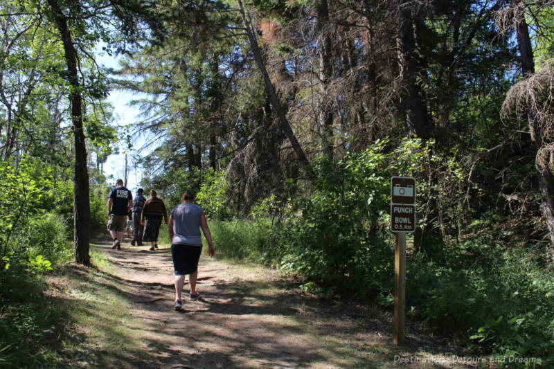 Wooded trail leading to Devil's Punch Bow, Manitoba