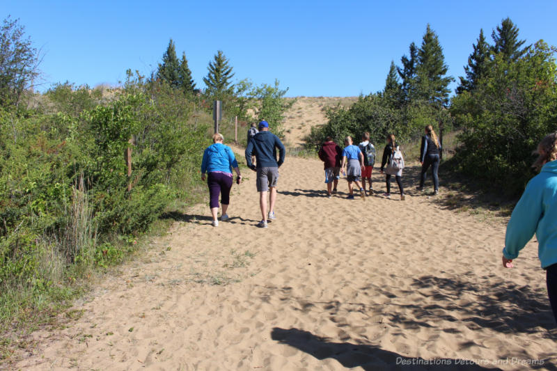 People walking up a sand trail bordered by low trees at Spirit Sands, Manitoba