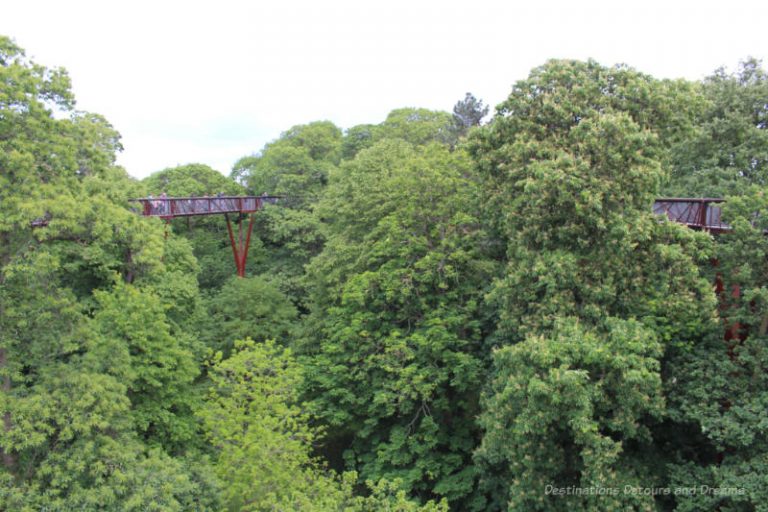 Walking Among The Treetops At Kew Gardens