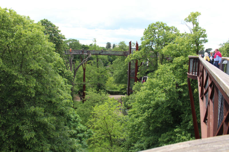 Steel walkway looping through treetops at Kew Gardens