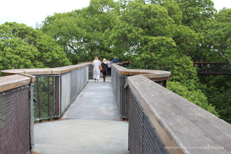 Walkway with railing and small lookout points of the Treetop Walkway at Kew