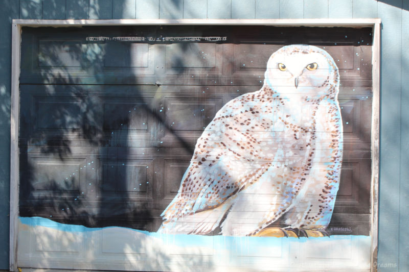 Painting of an owl on a garage door in Arctic Alley, Winnipeg